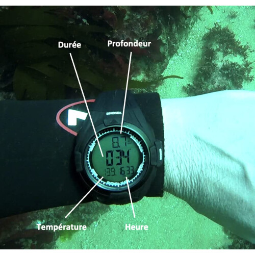 DiVONEA Spearfishing, Freediving and Dive Computer 1