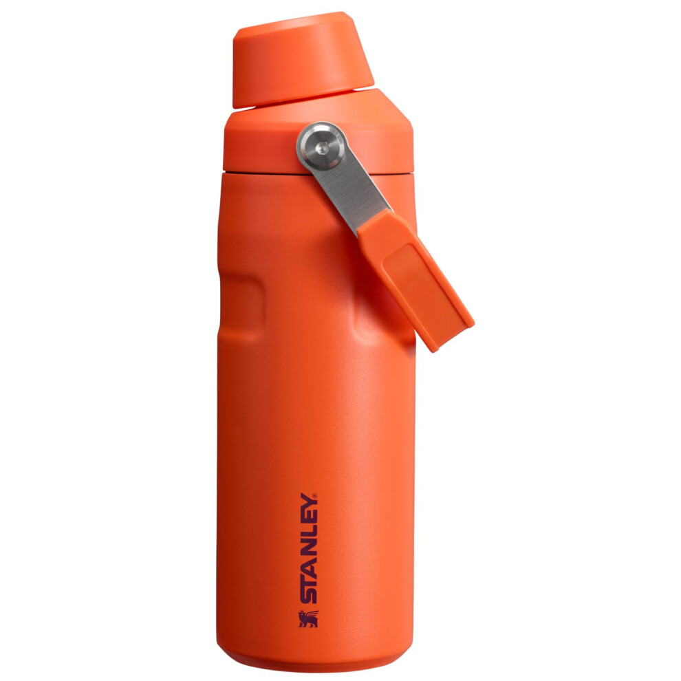 Stanley IceFlow Fast Flow Water Bottle 16 oz | Angled Spout Lid | Lightweight and Leakproof for Travel and Sports | Insulated Stainless Steel | BPA-Fr