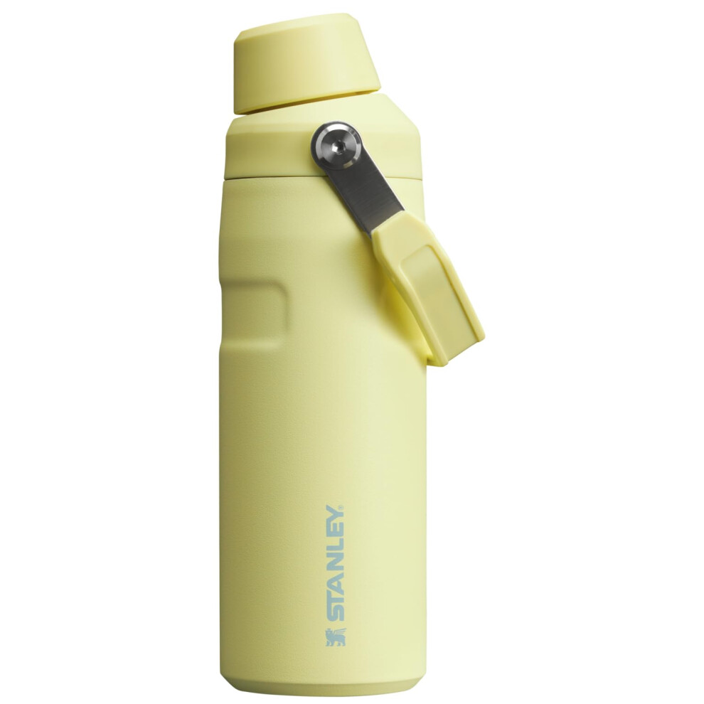 Stanley IceFlow Fast Flow Water Bottle 16 oz | Angled Spout Lid | Lightweight and Leakproof for Travel and Sports | Insulated Stainless Steel | BPA-Fr-image-OPC-PH52RCM-NEW