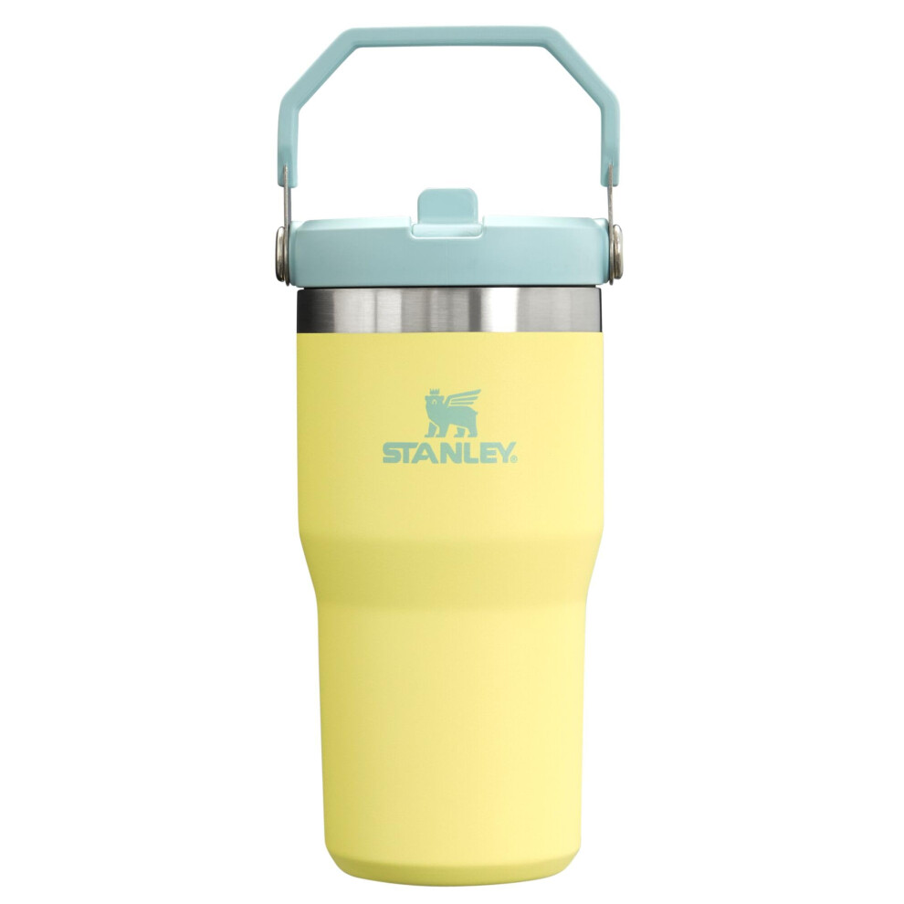 Stanley IceFlow Stainless Steel Tumbler - Vacuum Insulated Water Bottle for Home  Office or Car Reusable Cup with Straw Leak Resistant Flip Cold for 1