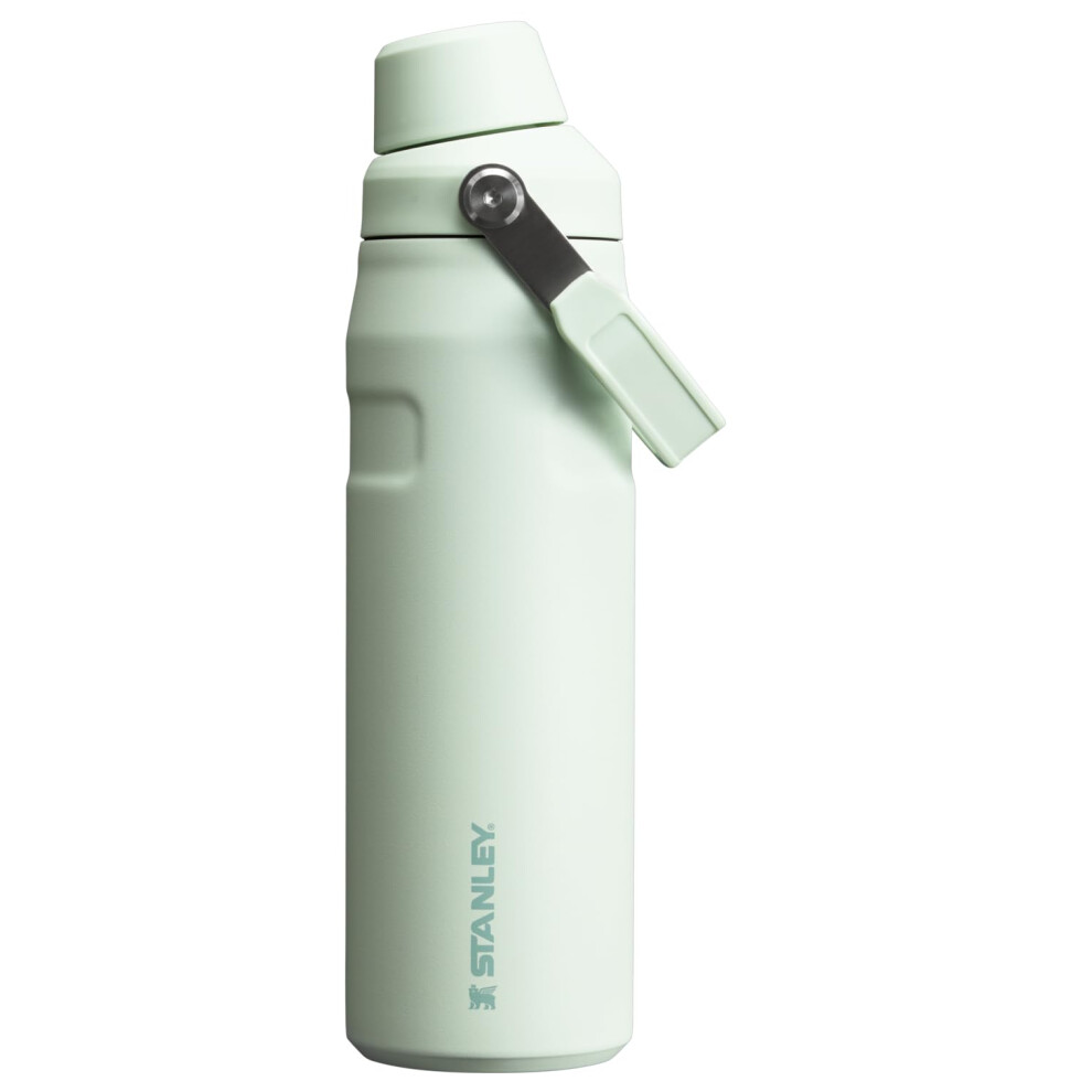 Stanley IceFlow Fast Flow Water Bottle 24 oz | Angled Spout Lid | Lightweight and Leakproof for Travel and Sports | Insulated Stainless Steel | BPA-Fr