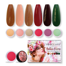 Legacy Nails Professional COLLECTION Kit di polvere acrilica 6 colori Set per nail art per manicure fai-da-te per estensioni delle unghie in acri