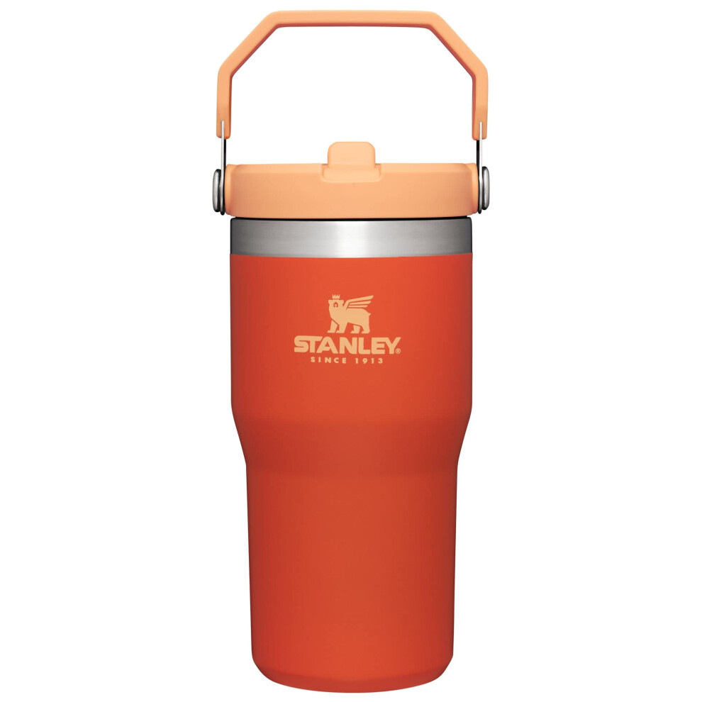 Stanley IceFlow Stainless Steel Tumbler - Vacuum Insulated Water Bottle for Home  Office or Car Reusable Cup with Straw Leak Resistant Flip Cold for 1