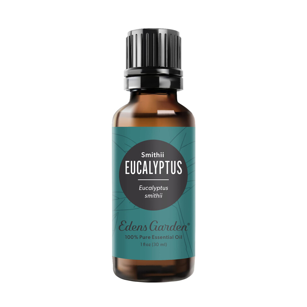 Edens Garden Eucalyptus- Smithii Essential Oil 100% Pure Therapeutic Grade (Undiluted Natural/Homeopathic Aromatherapy Scented Essential Oil Singles)