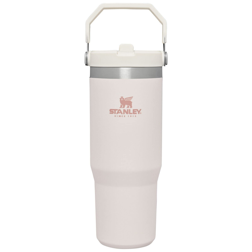 Stanley IceFlow Stainless Steel Tumbler with Straw - Vacuum Insulated Water Bottle for Home  Office or Car Reusable Cup with Straw Leak Resistant Flip