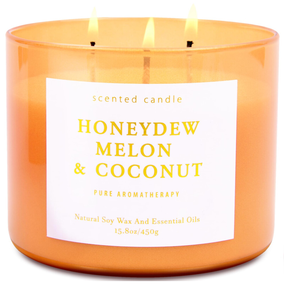 Bougie au melon miel et à la noix de coco - Grande bougie parfumée au soja à 3 mèches pour la maison - Bougies relaxantes aux fruits tropicaux fr
