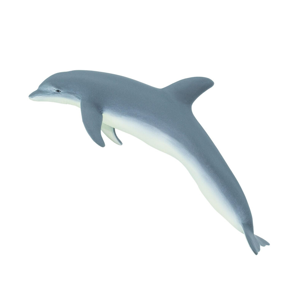 Photos - Creativity Set / Science Kit Safari Ltd . Bottlenose Dolphin Figurine - Lifelike 7.5"""" Plastic Model Figure - Fun Educational Play Toy for Boys Girls & 