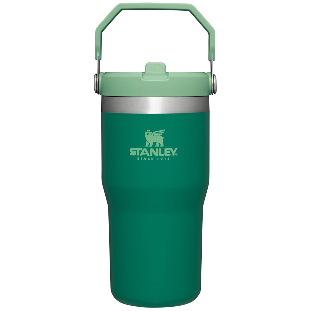 Stanley IceFlow Stainless Steel Tumbler - Vacuum Insulated Water Bottle for Home  Office or Car Reusable Cup with Straw Leak Resistant Flip Cold for 1