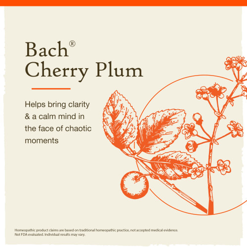 Bach Bach Flower Cherry Plum 2
