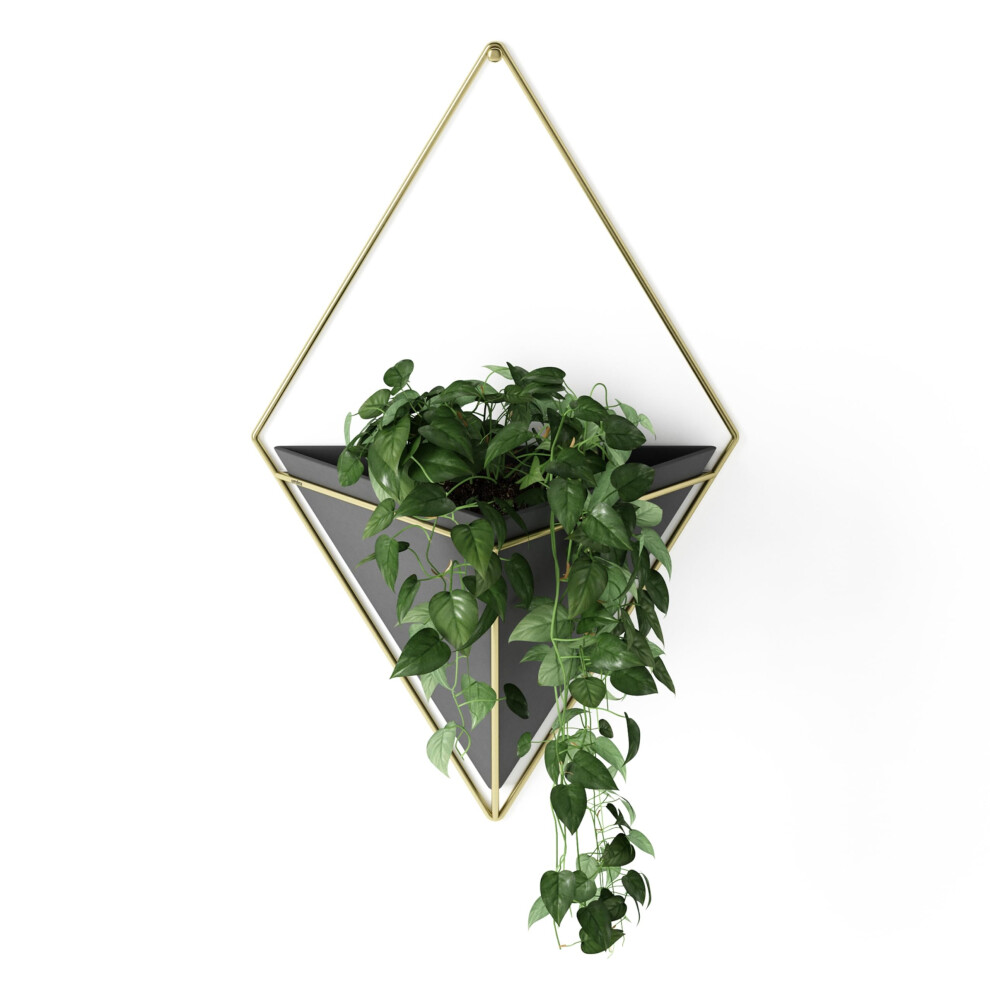 Umbra Trigg Hanging Planter Vase Wall Decor  Pot and Container for Succulents  Cactus  Faux Plants  and More  Large  Black/Brass