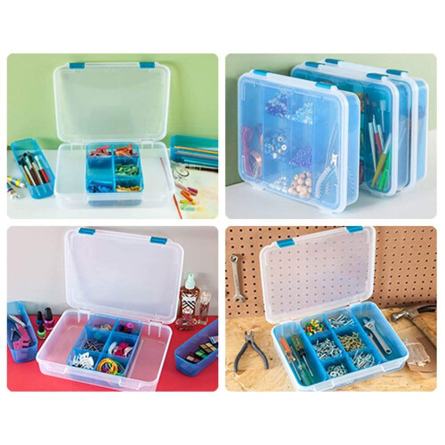 STERILITE Divided Case  Multicolor 1