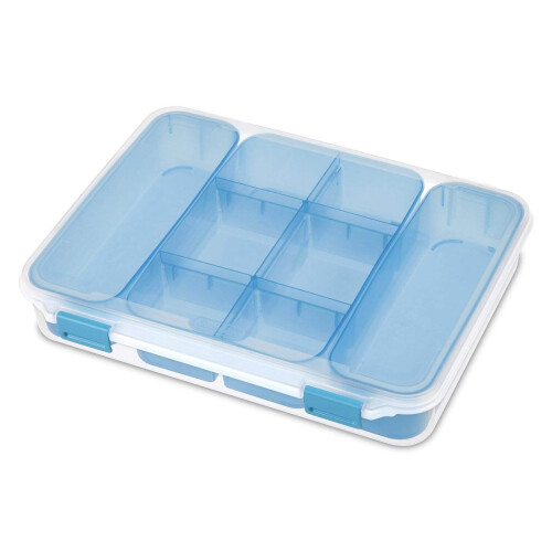 STERILITE Divided Case  Multicolor