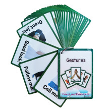 Lilias Gestures Flash Cards  Toddler Learning Toys  Preschool Learning Toys  Homeschool Supplies  Learning Supplies for Kindergarten  4.3 X 3.14 Inch
