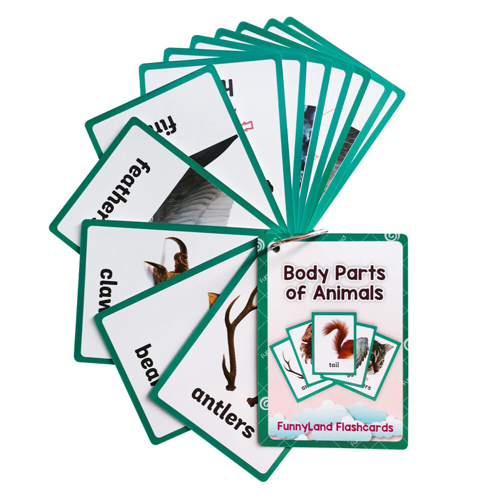 Cartes Flash Lilias Parties du Corps des Animaux Jouets d'Apprentissage pour Tout-petits Jouets d'Apprentissage Pr   scolaire Fournitures Scolaires