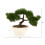 Nearly Natural 10in. Τεχνητό Δέντρο Bonsai Κέδρου σε Διακοσμητικό Γλάστρα, Πράσινο 2