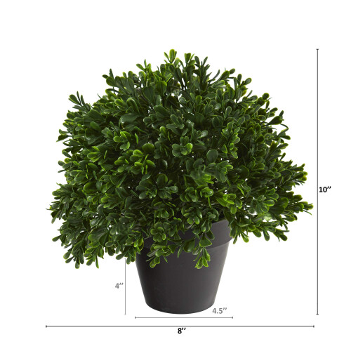 Nearly Natural 10in. Τεχνητό Φυτώριο Boxwood UV Ανθεκτικό (Εσωτερικού/Εξωτερικού Χώρου) 1