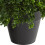 Nearly Natural 10in. Τεχνητό Φυτώριο Boxwood UV Ανθεκτικό (Εσωτερικού/Εξωτερικού Χώρου) 3