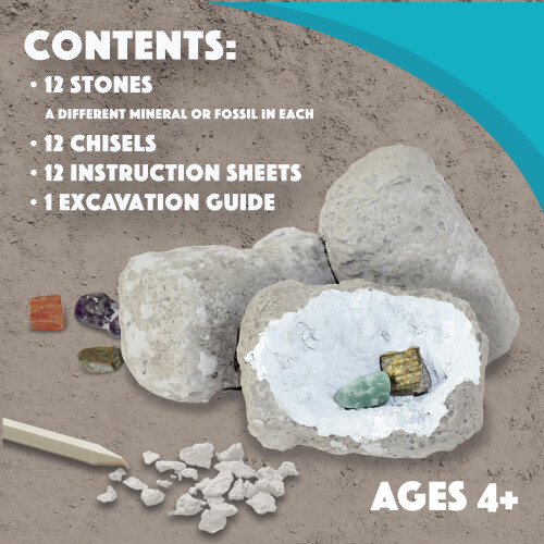 Dig It Up! Fossils & Minerals 1