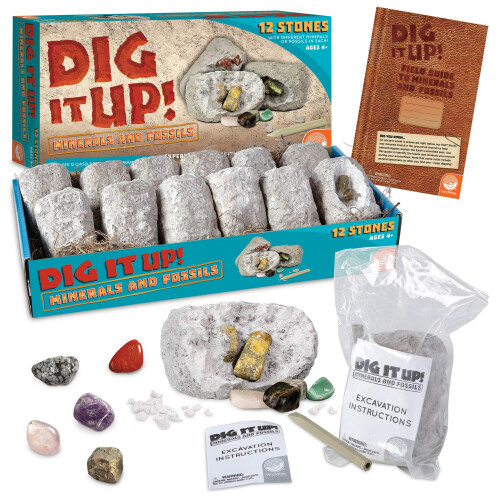 Dig It Up! Fossils & Minerals