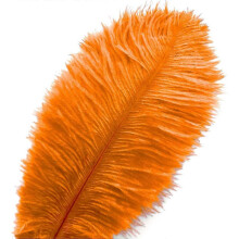 20 pcs Orange Ostrich Feathers Plumes 8-10 inch(20-25 cm) Bulk for Party, Easter, Gatsby Decorations