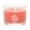 Yankee Candle Yankee Candle Signature Mini Κερί Βαθμού, Άρωμα Μήλο-Κολοκύθα, 1.3 OZ (Πακέτο 4) 2