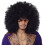 Black maxi afro wig 1
