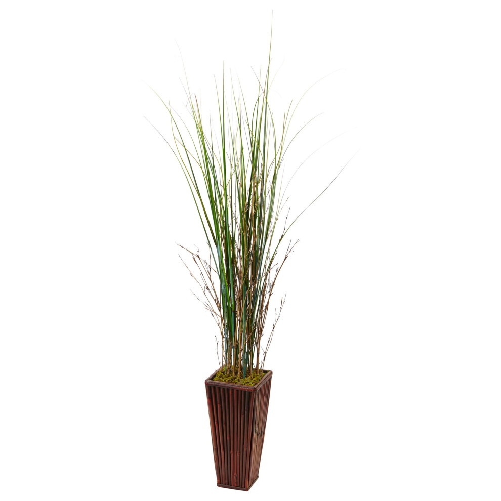 Herbe de bambou dans une jardini   re en bambou