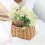 Wicker Picnic Basket with Handle,Willow Flower Girl Basket 3