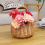 Wicker Picnic Basket with Handle,Willow Flower Girl Basket 2