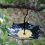 Vogelfutterschale, Futtertablett für den Garten 7
