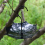 Vogelfutterschale, Futtertablett für den Garten 2