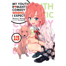 My Youth Romantic Comedy Is Wrong As I Expected Vol. 13 light novel by