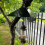 Metal Squirrel Baffle Hanging Squirrel Proof Baffle for Bird Feeder 4