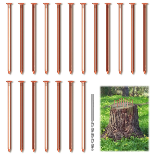 25 pregos de cobre puro para tocos de árvores com 8,9 cm de comprimento 2