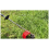 Simple and Practical Iron Disc Weeding , Lawn Mower, Lawn Mower, 4