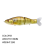 Slow Floating Bait Swimming Bait Joint Swing Bait B 2