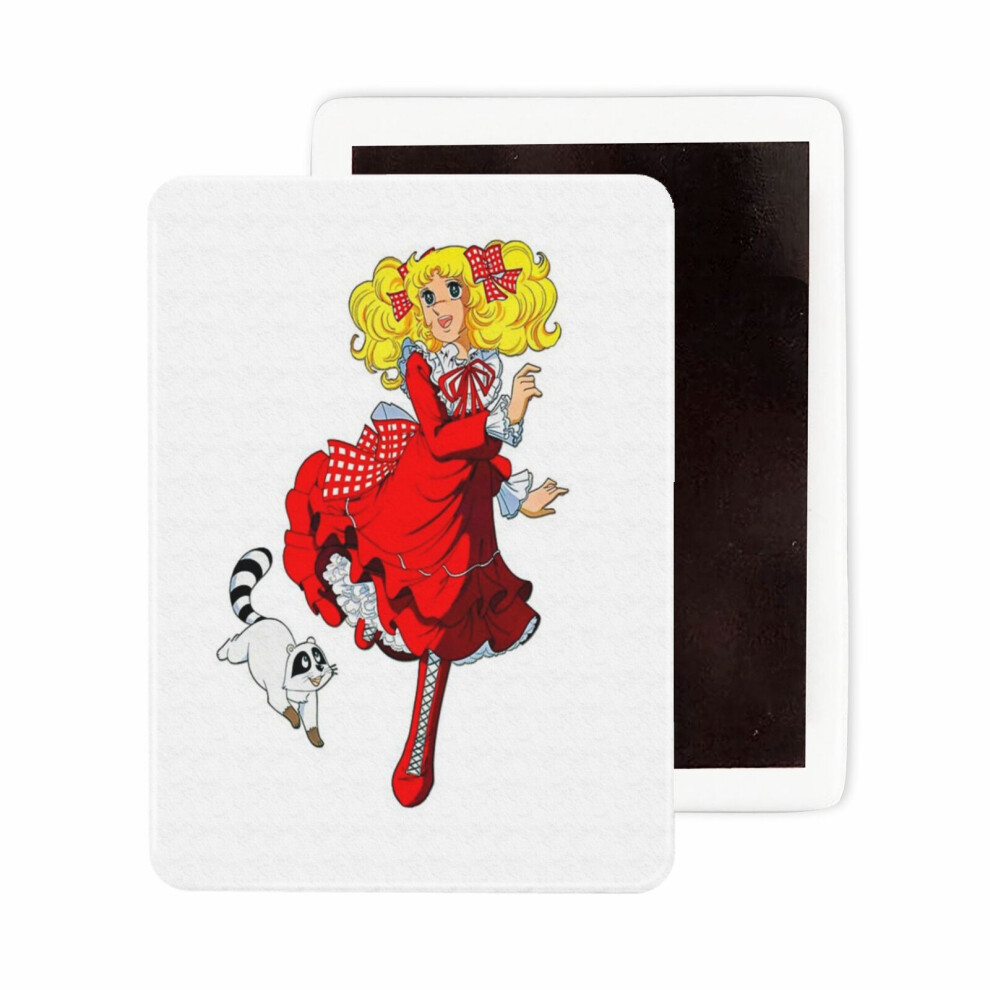 Fridge Magnets Ceramic Refrigerator Magnet Handmade Graphic Artwork Kitchen Decorative Accessories / 2.4 x 3.2inch