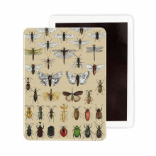 (Entomology Insect Studies Collection _7087) Fridge Magnets Ceramic Refrigerator Magnet Handmade Graphic Artwork Kitchen Decorative Accessories / 2.4 x 3.2inch