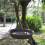 Hanging Bird Bath Feeder Round Tray Thickened Resin Deep Water 7