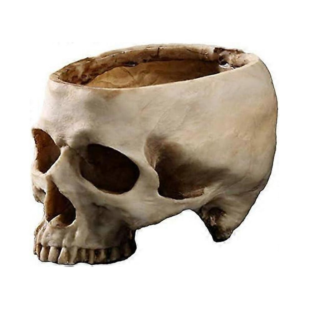 Skull Resin Skull Head Flower Pot Halloween Decorations, Plant Bowl Multifunctional Skull Plant Pot Container for Festival Home