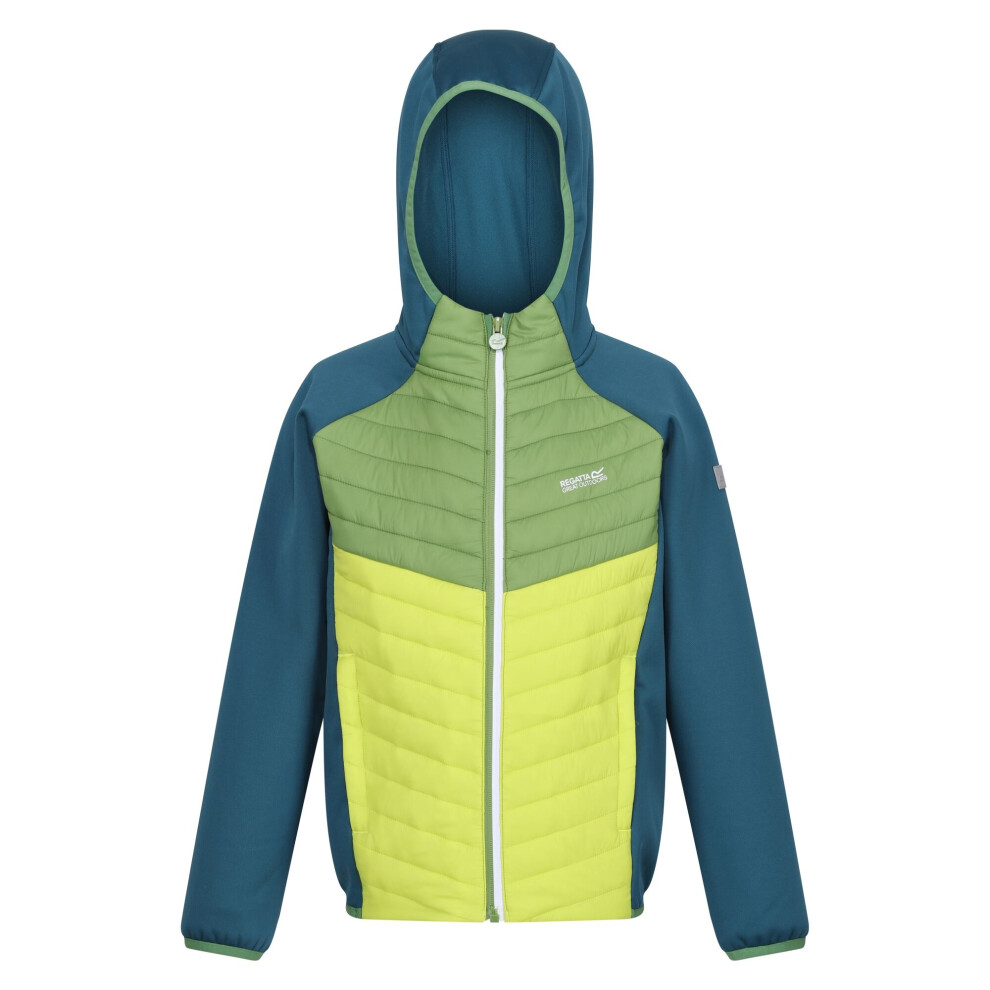 (14 Years, Moroccan Blue/Piquant Green/Citron Lime) Regatta Childrens/Kids Kielder VIII Hybrid Jacket