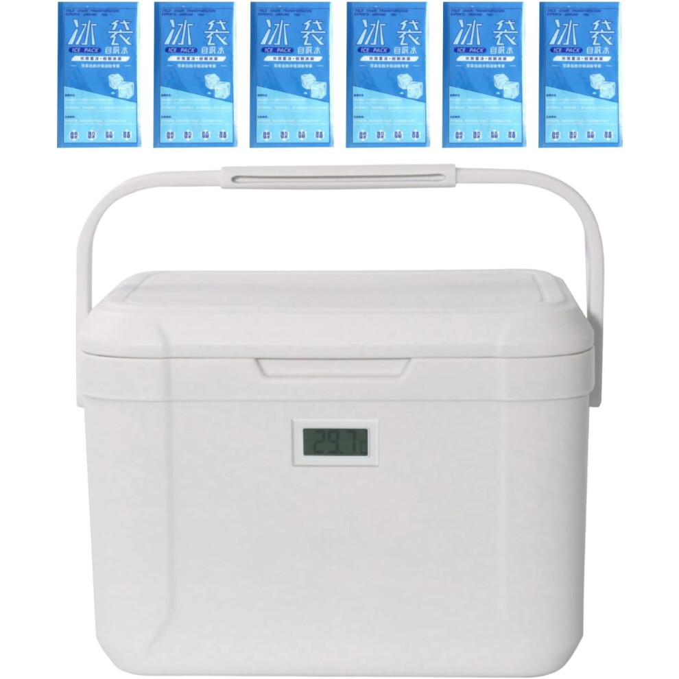 Camping Cooler - 5.5 L Lunch Box Cool Bag Portable 3-Layer Insulated Box with Heat Protection for Picnic Travel & Everyday Use