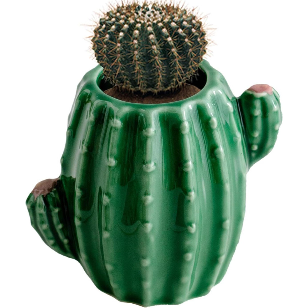 Cactus Vase Made of Ceramic, Cactus Shaped Statue Pots, Ceramic Vase, Cute Vase, Flower Vase, Ceramic Succulent Pots, Funny Vase, Small Ceramic Vases