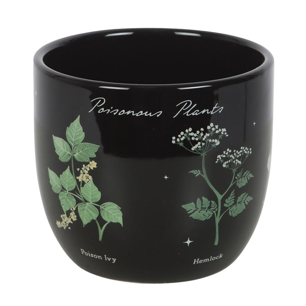 Something Different Poisonous Plants Plant Pot-image-OPC-PH5JWRW-NEW