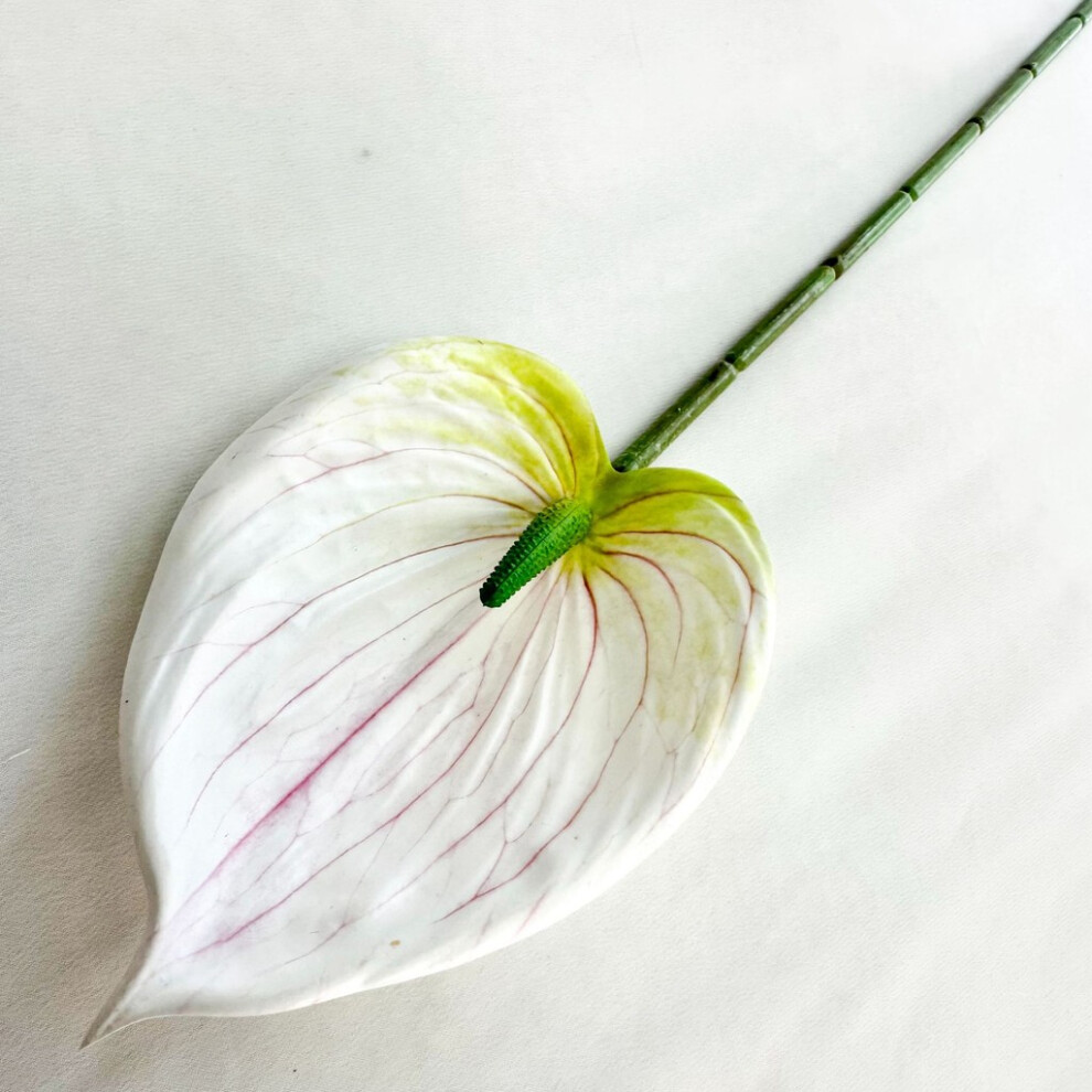 (White Green) Simulated Plants Anthurium Wedding Hotel Restaurant Ornament Desktop Decoration-image-OPC-PH5KPY2-NEW