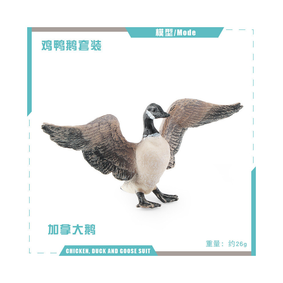 (Canadian Goose) Pvc Animal Detailed Figurines Set Including Mother Duck Chick Hen Goose And Canadian