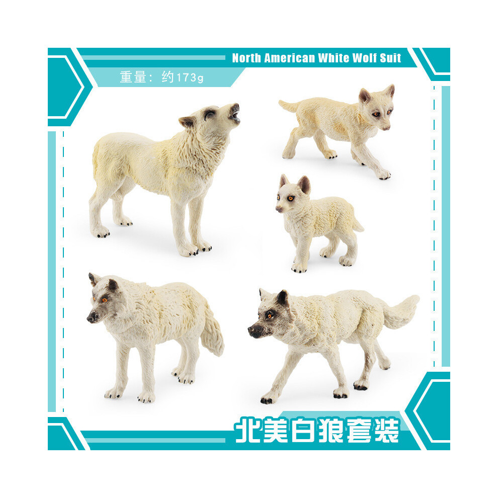 (Five Wolves) American Detailed North White Wolf Cub Model Perfect For Room Kids Decoration-image-OPC-PH5MBF2-NEW