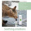 Herbal Cat Joy, Spray d'herbe à chat pour chats, Spray d'herbe à chat pour chats d'intérieur 3