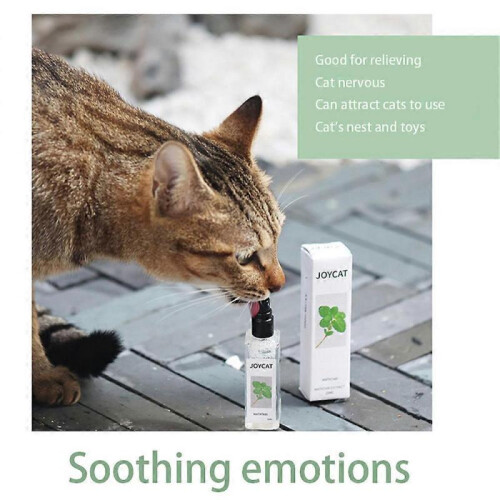 Herbal Cat Joy, Spray d'herbe à chat pour chats, Spray d'herbe à chat pour chats d'intérieur 2