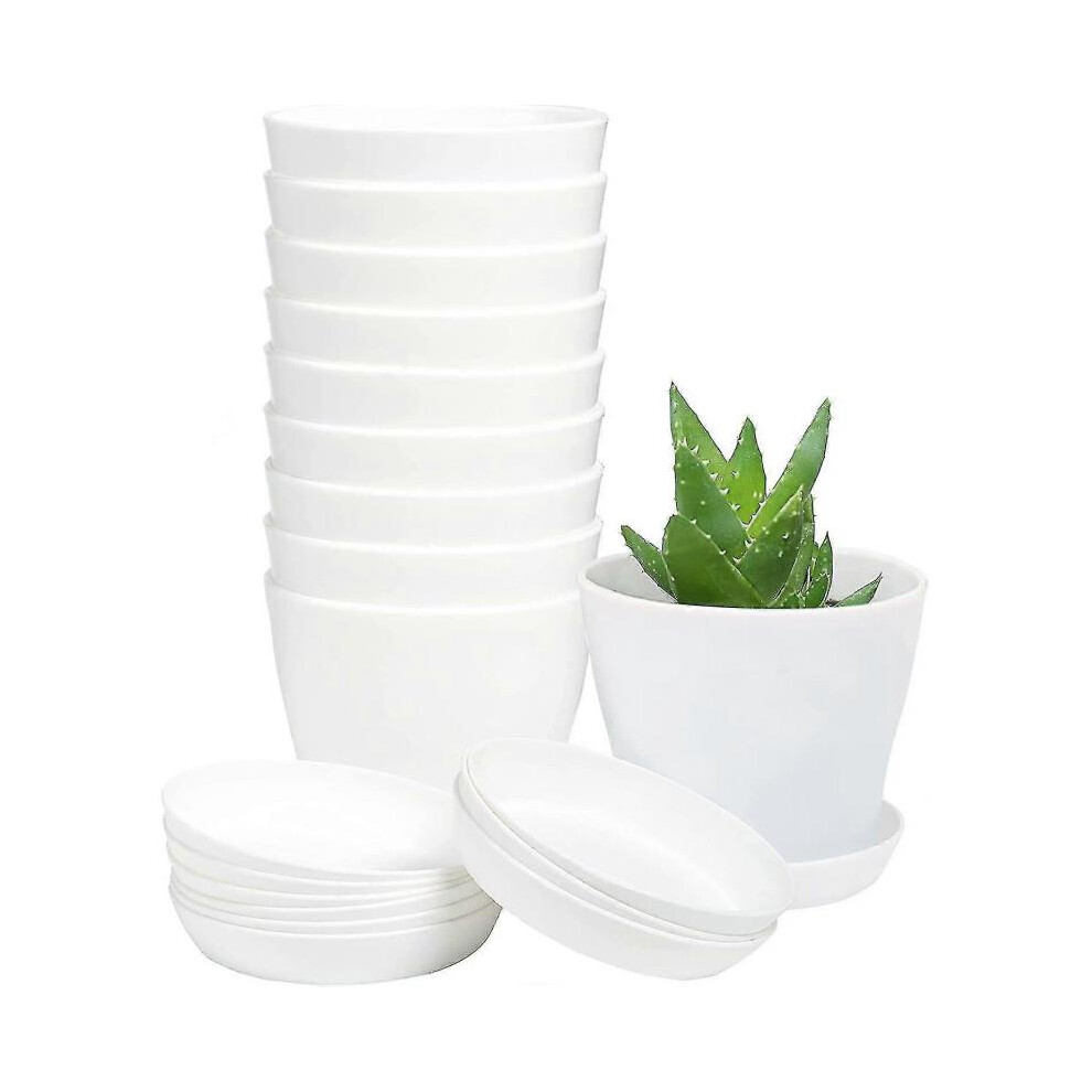 10pcs Mini Seedlings Flower Pot with Pallet